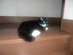 CIMG0369.JPG