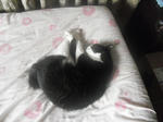 CIMG0385.JPG