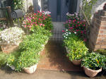 CIMG0391.JPG
