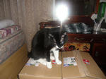 CIMG0407.JPG