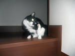 CIMG0413.JPG