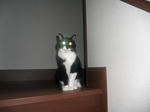 CIMG0412.JPG