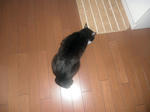 CIMG0447.JPG