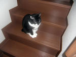 CIMG0485.JPG