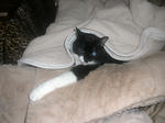 CIMG0577.JPG