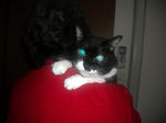 CIMG0593.JPG