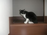 CIMG0595.JPG