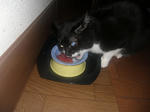 CIMG0614.JPG
