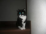 CIMG0635.JPG