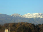 CIMG0653.JPG