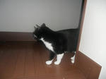 CIMG0663.JPG