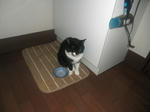 CIMG0668.JPG