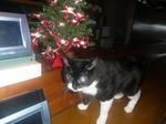 CIMG0688.JPG
