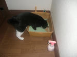 CIMG0690.JPG