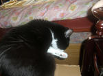 CIMG0696.JPG
