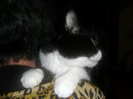 CIMG0738.JPG