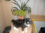 CIMG0744.JPG