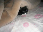 CIMG0795.JPG