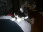 CIMG0870.JPG