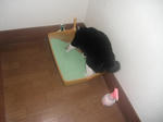 CIMG0893.JPG