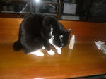CIMG0924.JPG