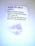 rose
