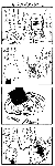 ni726.gif