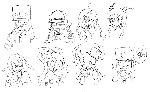ni829.gif