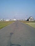 ni945.jpg