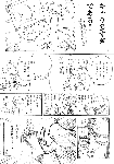 ni1122.gif