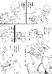 ni1429.gif