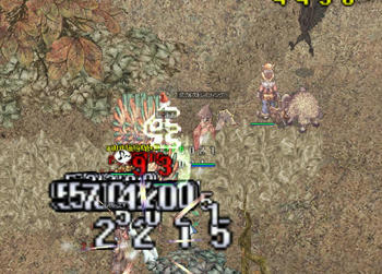 11509f0f.jpg