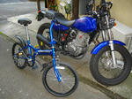 3c55571f.jpg