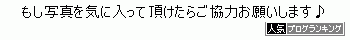 ランキング協力お願いします