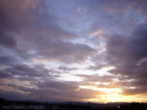 P1120240_2.jpg