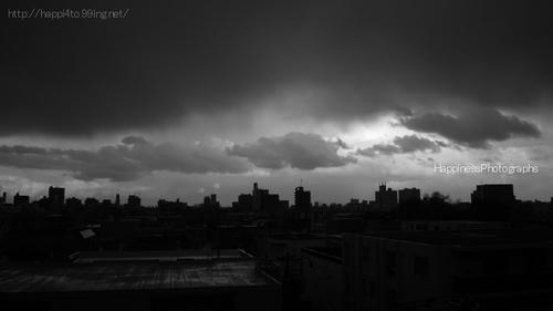 P1120853.jpg