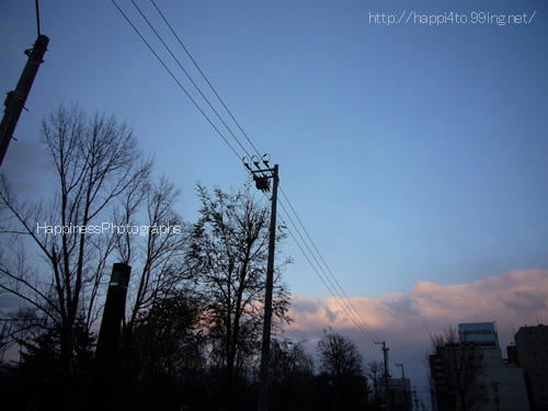 P1120935.jpg