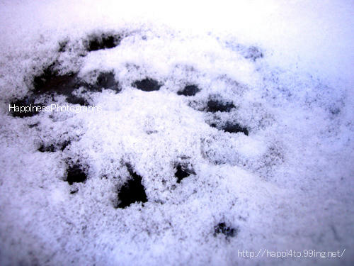 10.02_01_001.jpg