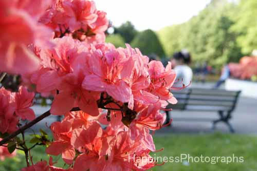 2010.05_0016.jpg