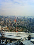 東京タワーを望む