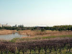 葛西臨海公園
