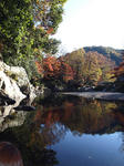 水面に写る紅葉