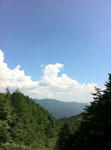 柳沢峠からの眺め