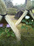 DVC00122_M.JPG