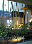 DVC00108_M.JPG