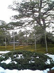DVC00148_M.JPG