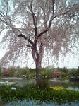080413_120807.jpg