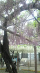 P1010002.jpg