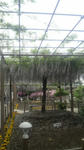 P1010004.jpg
