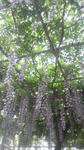 P1010005.jpg